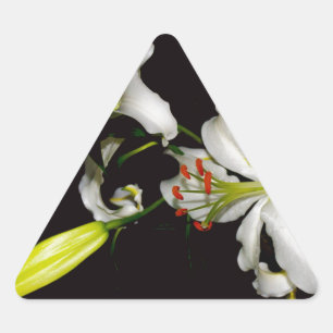 Sticker Triangulaire Design irlandais - Collection de laiton et de fleu