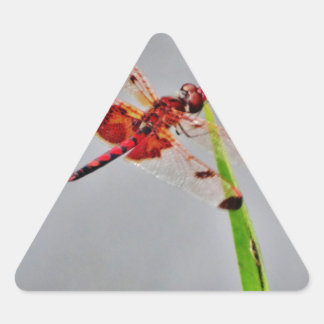 STICKER TRIANGULAIRE DSC00029.JPG