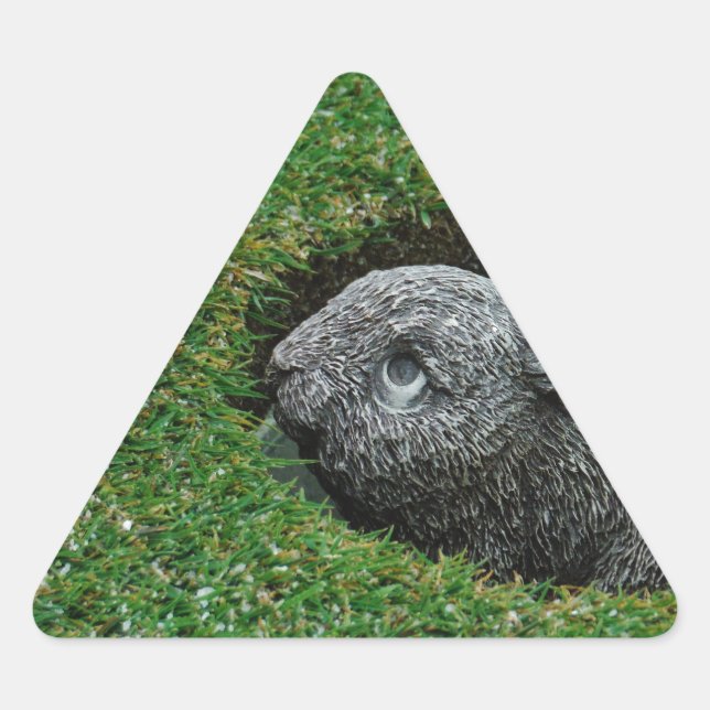 STICKER TRIANGULAIRE DSCF0652.JPG (Devant)