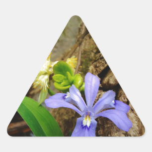 Sticker Triangulaire Fleur blanche pourpre bleu Iris
