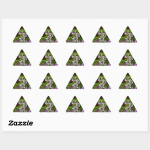 Sticker Triangulaire Fleur de printemps de Heather à feuillage persista