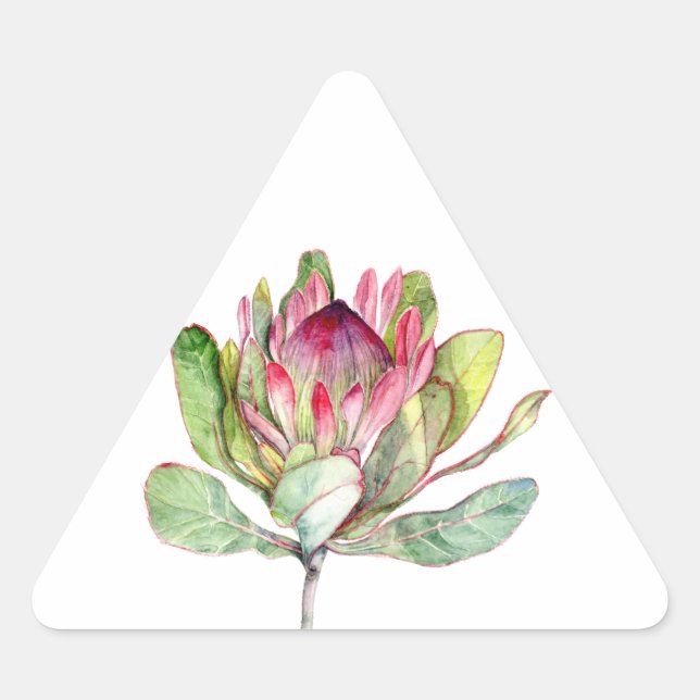 Sticker Triangulaire Fleur Protea (Devant)