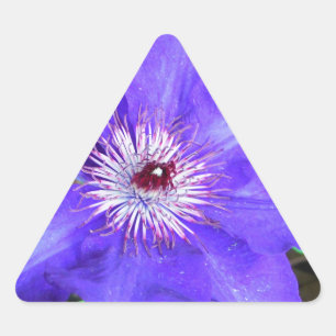 Sticker Triangulaire Fleur violette Clematis