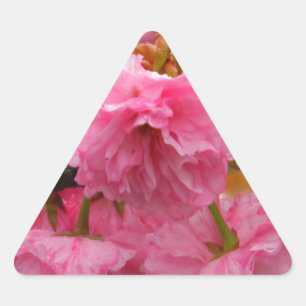 Sticker Triangulaire Fleurs de fleurs de cerisier rose chaud