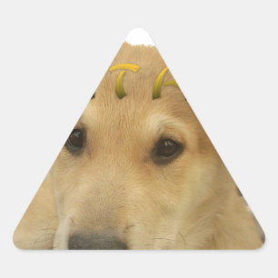 Sticker Triangulaire Hakuna Matata Je sais ce que vous pensez pinctur