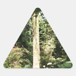 Sticker Triangulaire Hydrangea Wood Trees