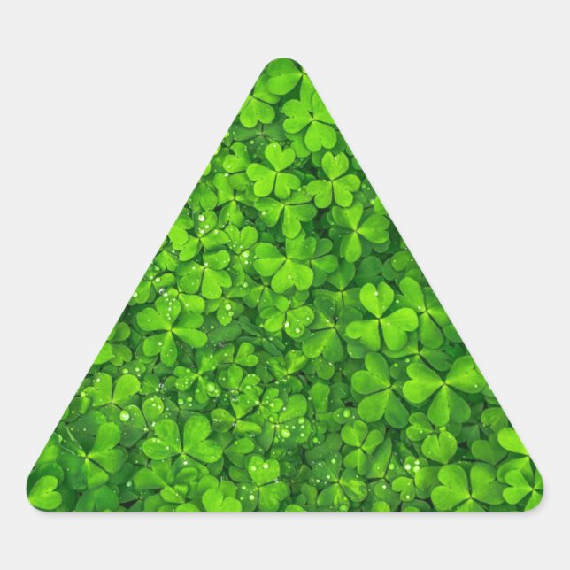 Sticker Triangulaire Ireland (Devant)