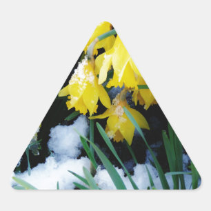 Sticker Triangulaire Jaune Daffodils fleurs dans la neige