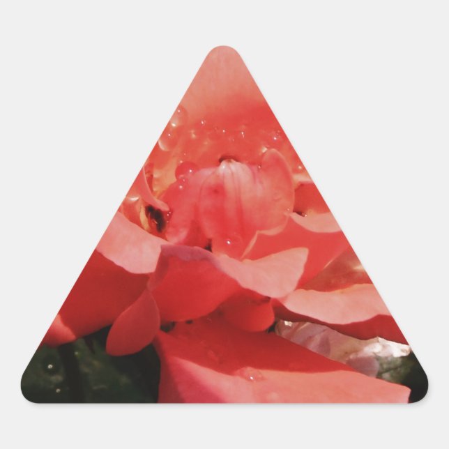 Sticker Triangulaire Joli rose rose Peach floral (Devant)