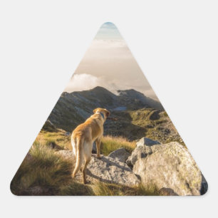 Sticker Triangulaire Le voyage