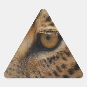 Sticker Triangulaire Léopard Eye