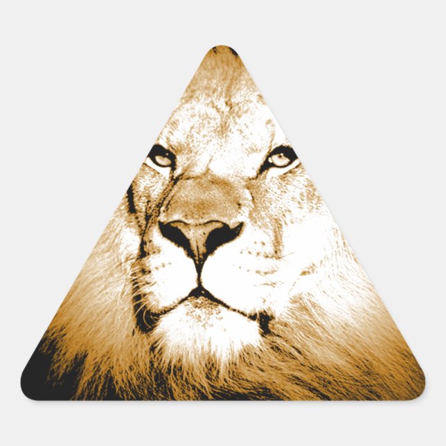 Sticker Triangulaire Lion (Devant)