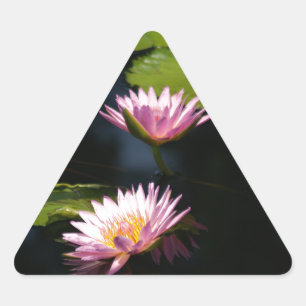 Sticker Triangulaire Nénuphars de Lotus violets roses