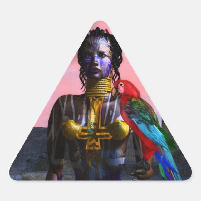 STICKER TRIANGULAIRE NORA CYBER WARRIOR TRIANGLE (Devant)