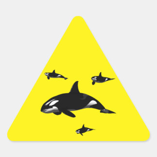 Sticker Triangulaire Orca