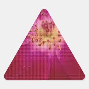 Sticker Triangulaire Perfection pétale : À damiers Rose Art Motif pétal