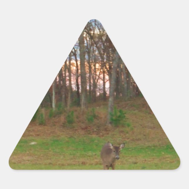Sticker Triangulaire Petit cerf et coucher de soleil rose (Devant)