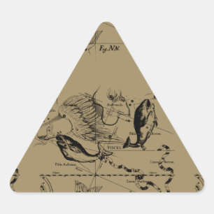 Sticker Triangulaire Poissons Constellation Hevelius 1690 Décor