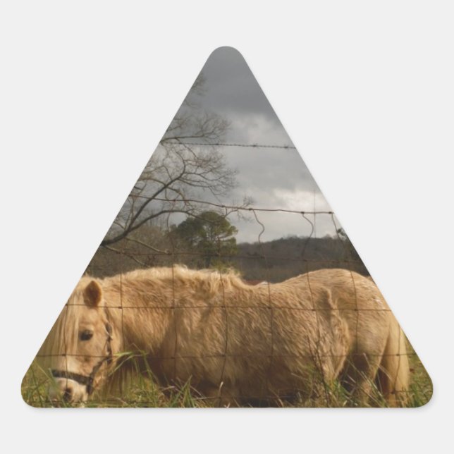 Sticker Triangulaire Poney miniature blond / Cheval (Devant)