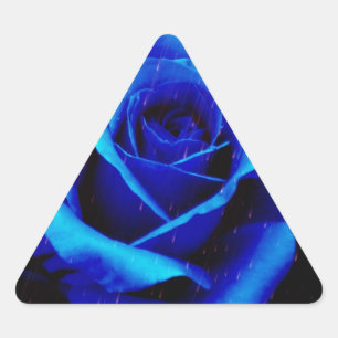 Sticker Triangulaire Rose bleu spectaculaire