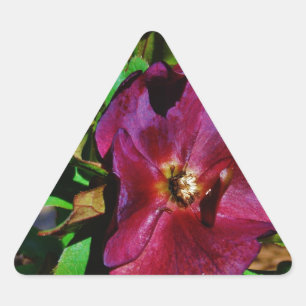 Sticker Triangulaire Rose de carême rose Bourgogne
