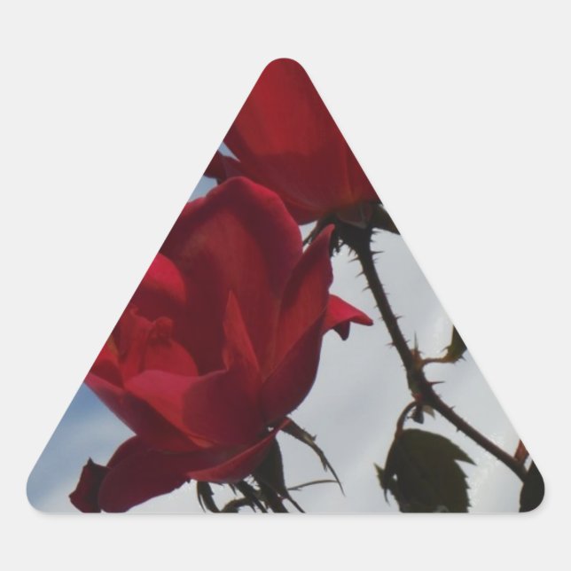 Sticker Triangulaire Roses rouges contre un ciel bleu vif (Devant)