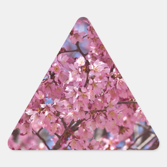 Sticker Triangulaire Sakura Pink Cherry Blossom Sky (Devant)
