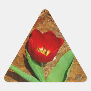 Sticker Triangulaire Tulipe jaune et rouge