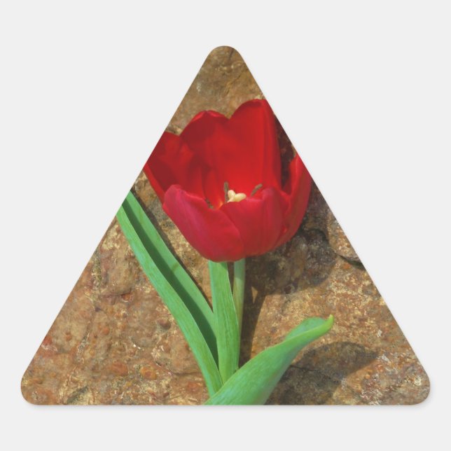 Sticker Triangulaire Tulipe rouge et jaune (Devant)