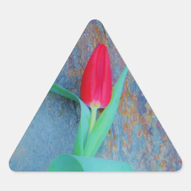 Sticker Triangulaire Tulipe rouge sur ardoise gris bleu (Devant)