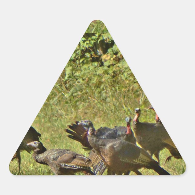 Sticker Triangulaire Turquie sauvage, couleurs du Camouflage (Devant)