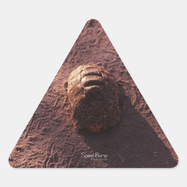 Sticker Triangulaire Vitesse (Devant)