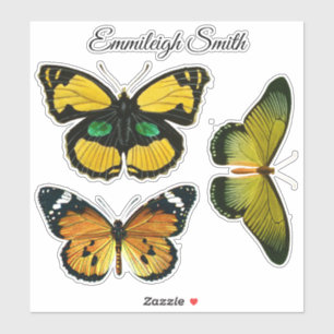 Sticker Trois Papillons Colorés Votre Nom