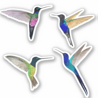 Sticker Tropical Hummingbirds