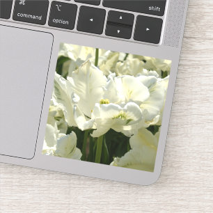 Sticker Tulipes blanches