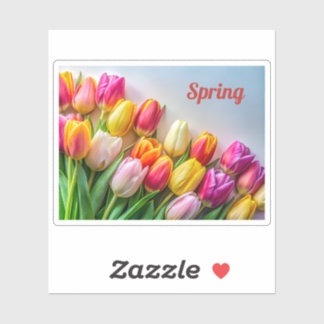Sticker Tulipes de printemps colorées bordure florale natu