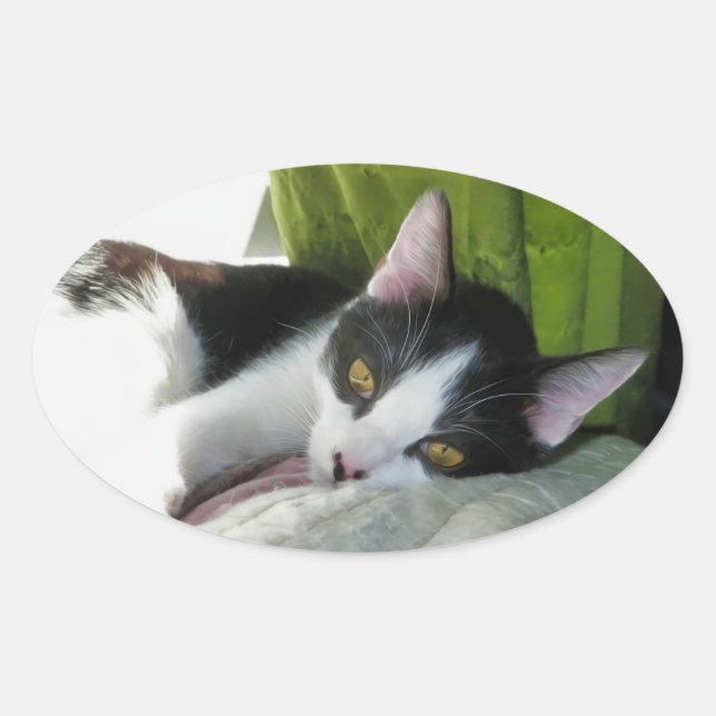 Sticker Tuxedo Cosy (Devant)