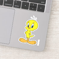 TWEETY™ | Oiseau intelligent