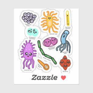 Sticker Types De Bactéries