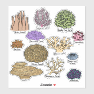 Sticker Types de corail