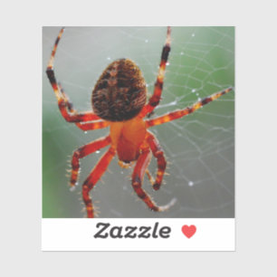 Sticker Une araignée affamée attend