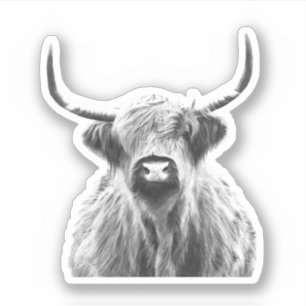 Sticker Vache noire et blanche des Highlands