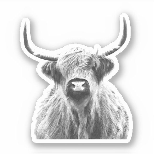 Sticker Vache noire et blanche des Highlands (Devant)