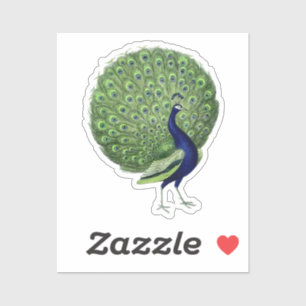 Sticker Ventilateur Open Peacock