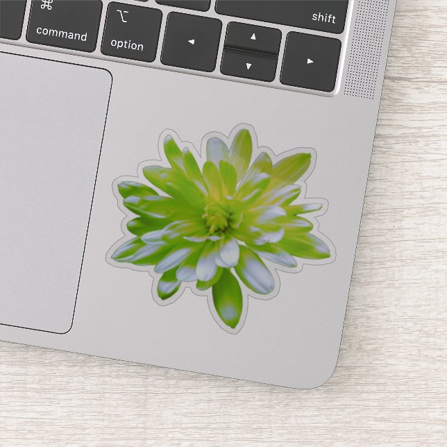 Sticker Vert turquoise fleurie jaune rétro Daisy (Détail)