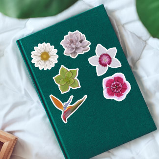 Sticker Vibrant Fleur sauvage coloré à la main et succulen