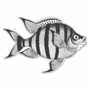Sticker vie marine de poisson vintage illustration des ani