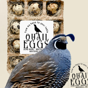 Sticker Vingt-cinq cartons d'oeufs de caille transparents