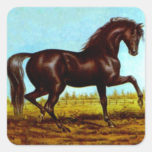 Sticker Vintage Black Beauty Horse Fancy Canter
