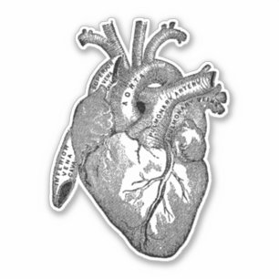 Sticker Vintage coeur de l'anatomie humaine Noir